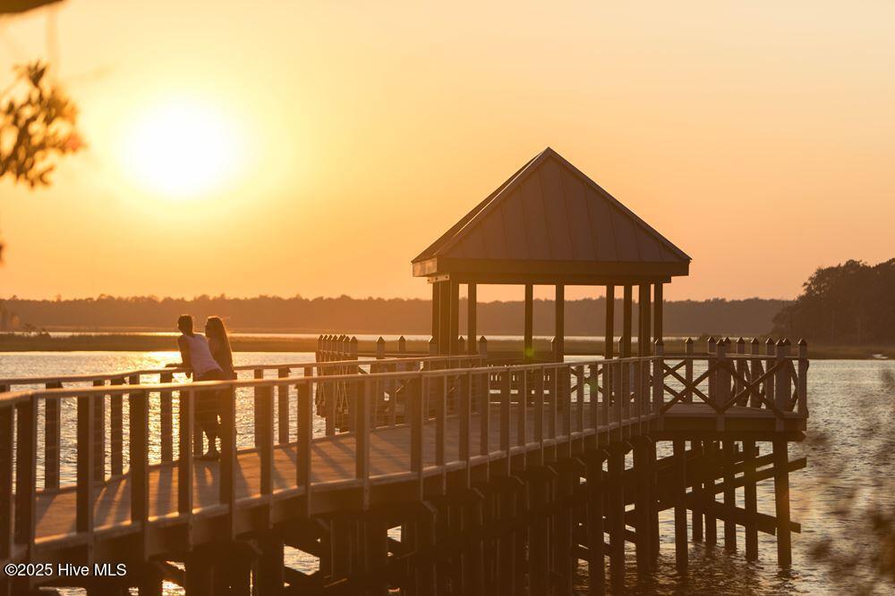 5712 Moonshell Loop Wilmington, NC 28412 - Photo 19 of 23 Day dock on the River