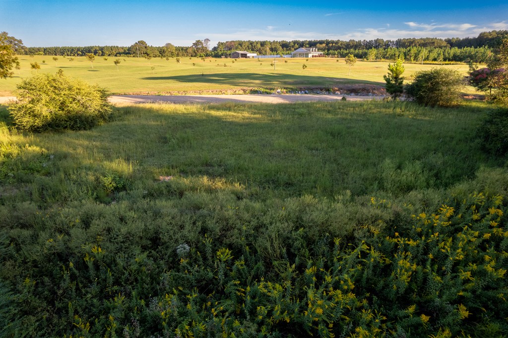 2226 Randall Wade Road Headland, AL 36345 - Photo 15 of 60