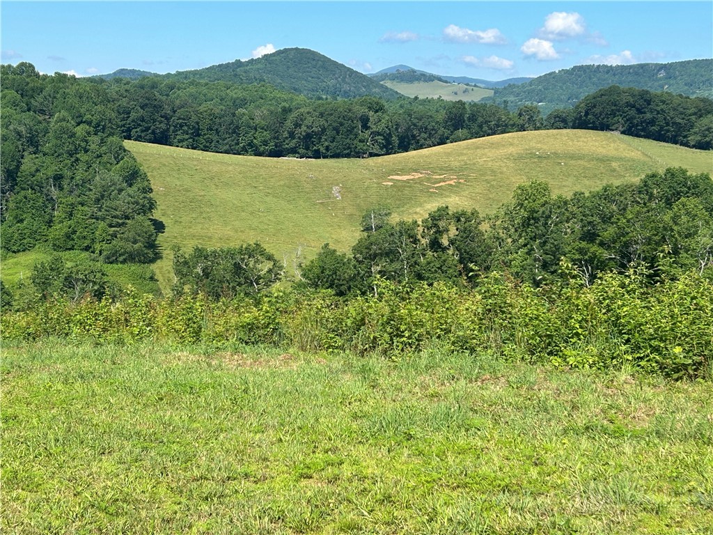 509 Grant Houck Road Todd, NC 28684 - Photo 10 of 43 a view of a lush green forest with trees in the background