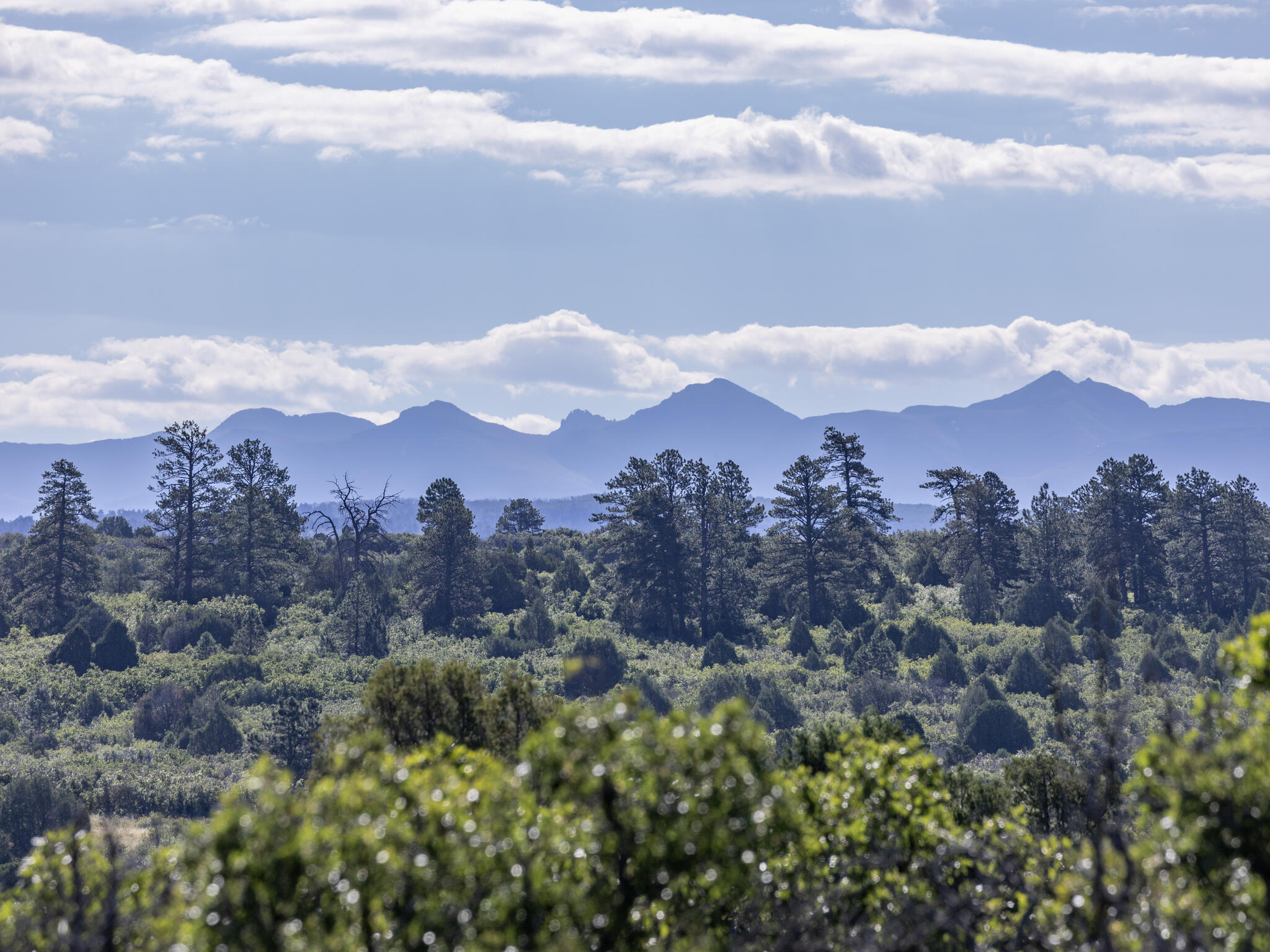 Tbd Lone Cone Street Norwood, CO 81423 - Photo 1 of 15 a view of a city with mountains in the background