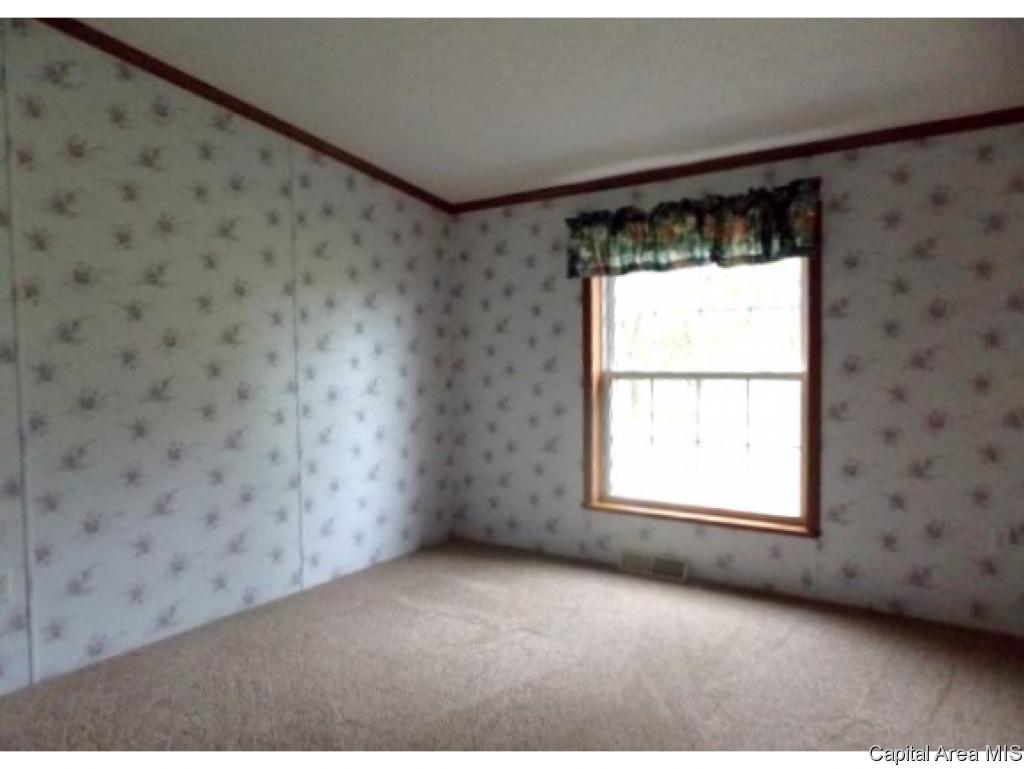 5288 Tickridge Road Palmyra, IL 62674 - Photo 12 of 28