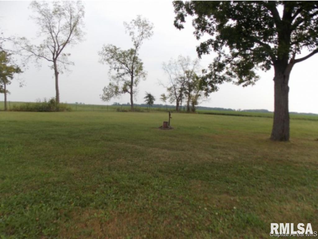 5288 Tickridge Road Palmyra, IL 62674 - Photo 27 of 28