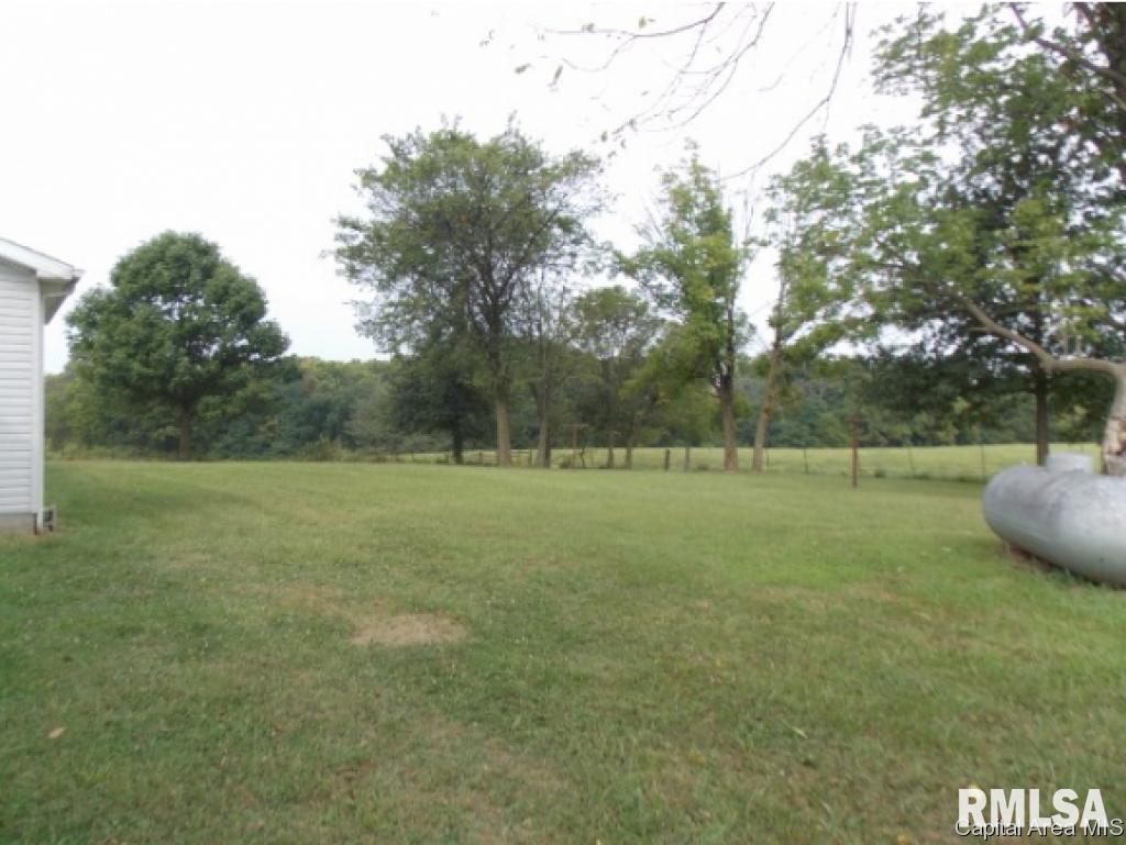 5288 Tickridge Road Palmyra, IL 62674 - Photo 28 of 28
