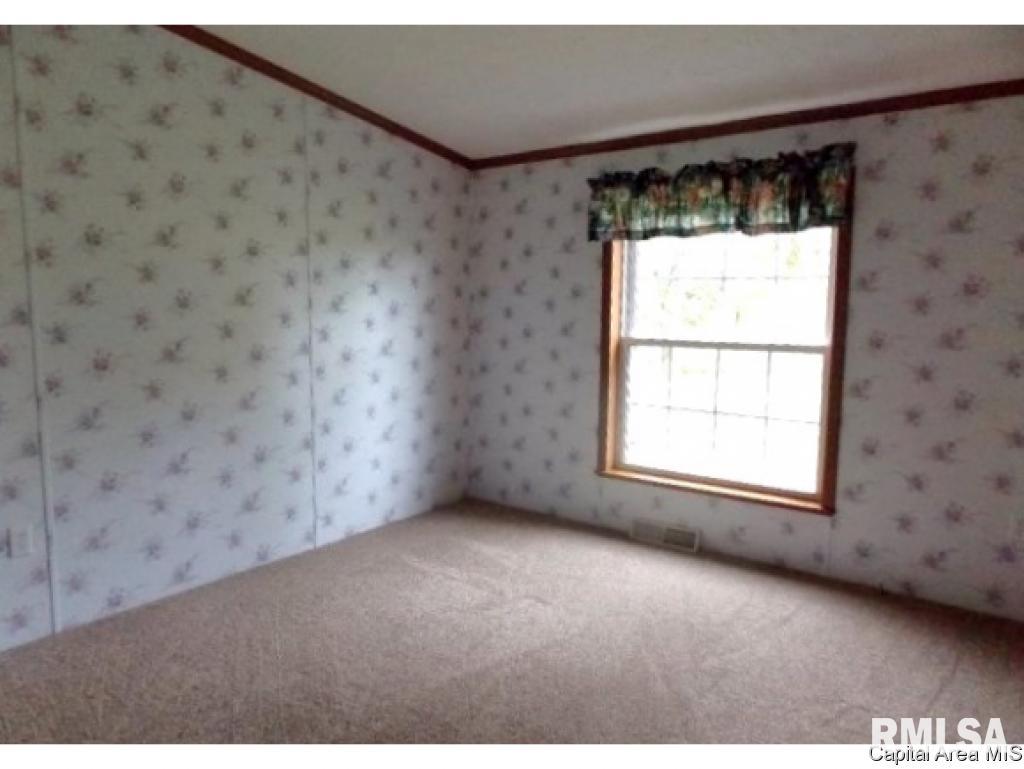 5288 Tickridge Road Palmyra, IL 62674 - Photo 9 of 28