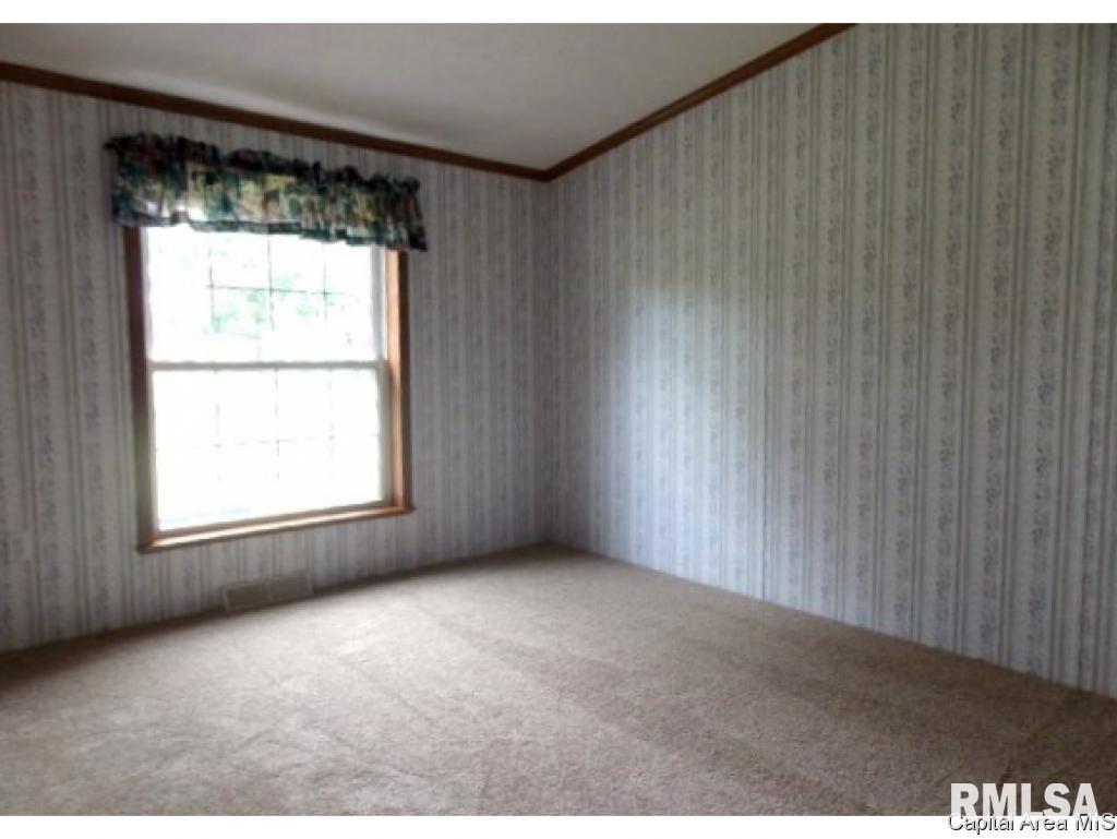 5288 Tickridge Road Palmyra, IL 62674 - Photo 10 of 28