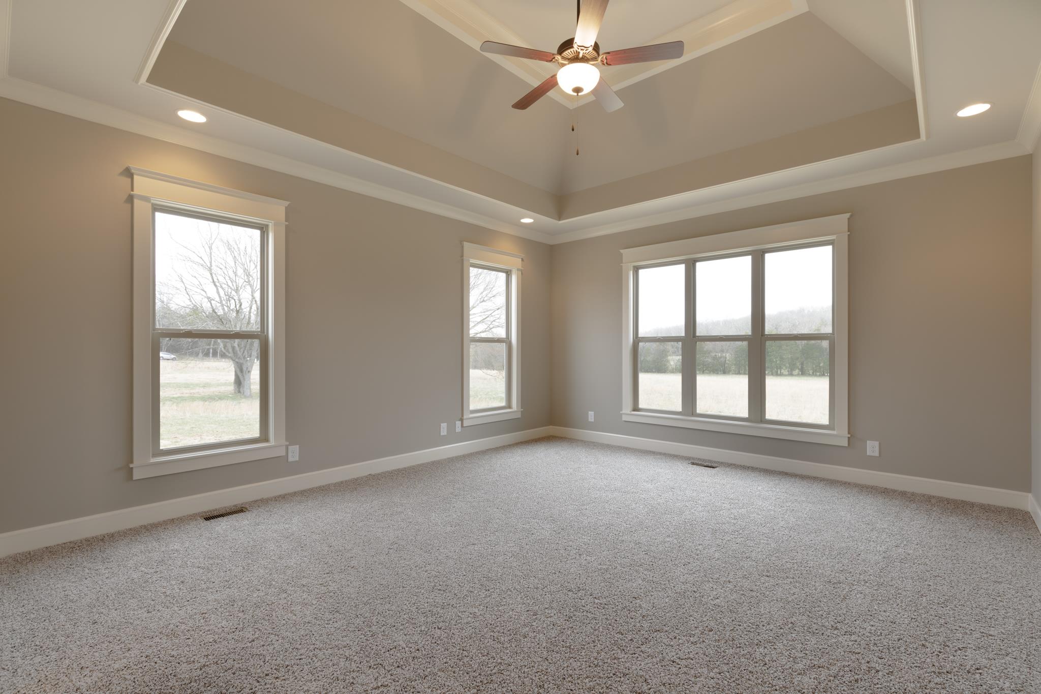 1720 Dillon Road Milton, TN 37118 - Photo 16 of 30 an empty room with chandelier fan and windows