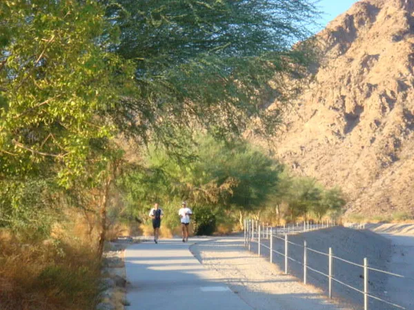 a view of water with palm trees