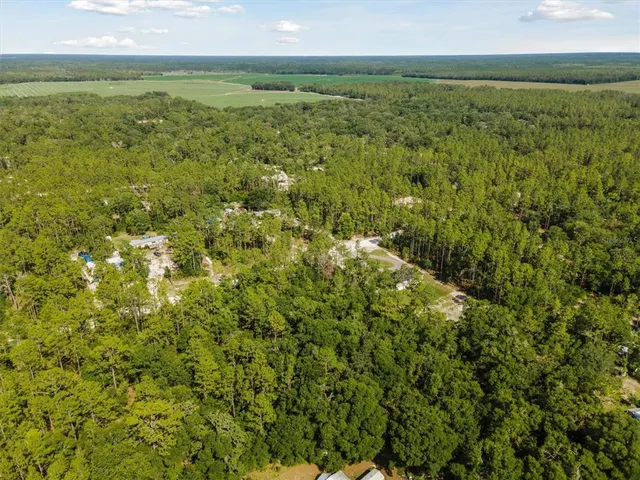 a view of a field with an ocean