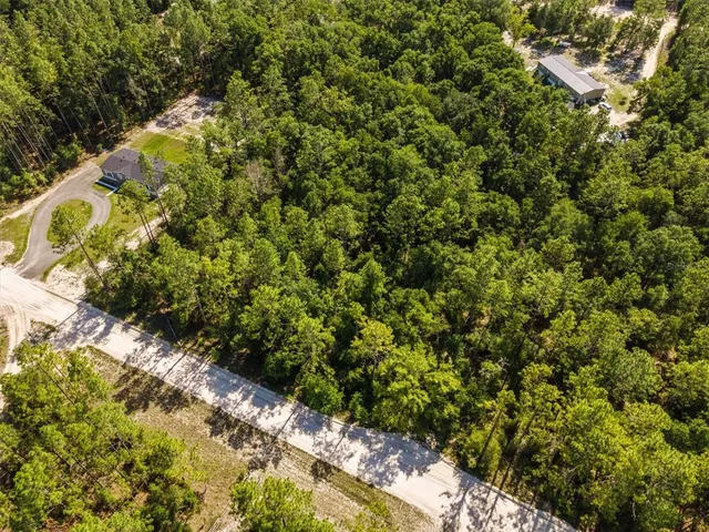 a view of a garden with plants