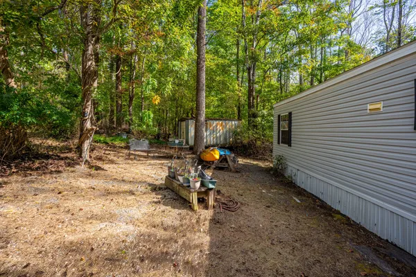 a view of a park with large trees