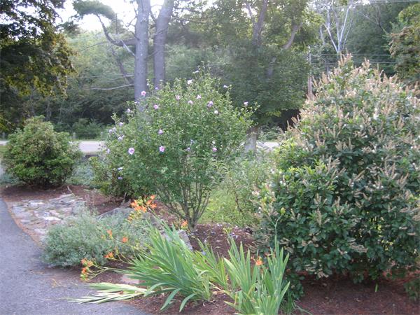 265 West Acton Road Stow, MA 01775 - Photo 25 of 29