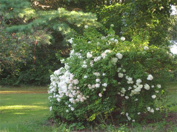 265 West Acton Road Stow, MA 01775 - Photo 29 of 29