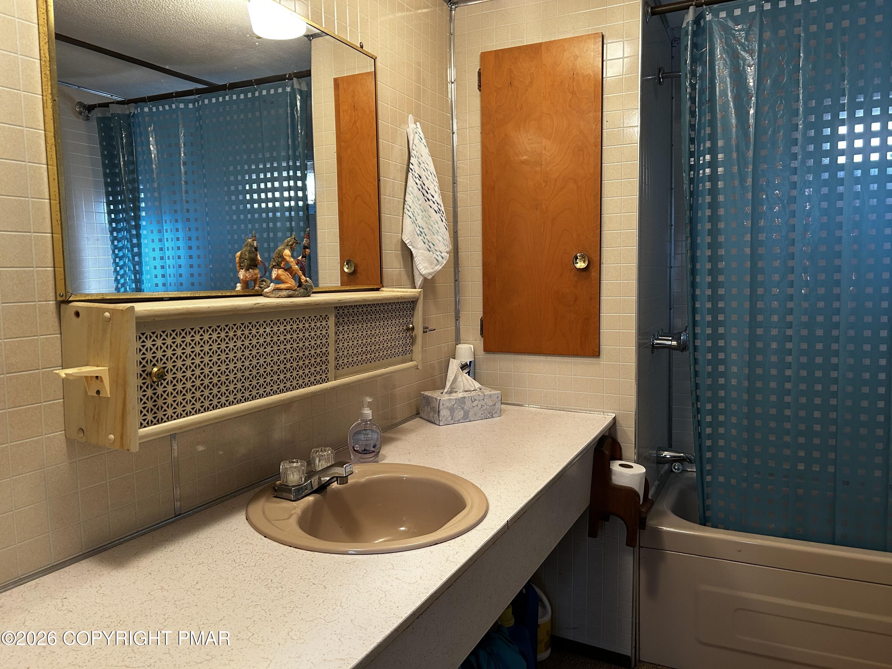 255 Buck Fever Trail Scotrun, PA 18355 - Photo 11 of 27 a bathroom with a sink and a mirror