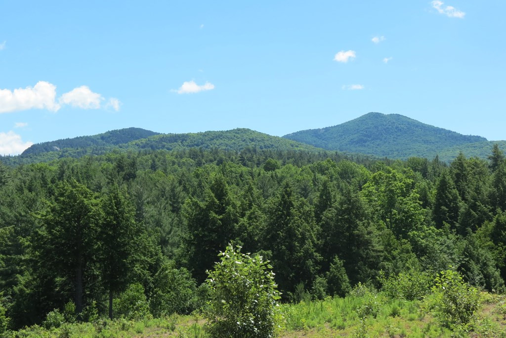 407 Upper Jay-Trumbulls Corners Road Jay, NY 12941 - Photo 7 of 25