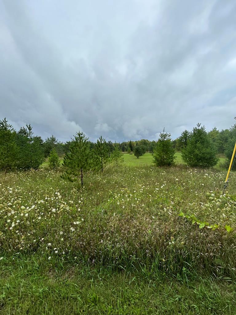 Tbd Little Lane Ellison Bay, WI 54210 - Photo 1 of 19