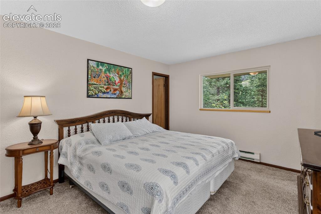 5145 Neeper Valley Road Manitou Springs, CO 80829 - Photo 19 of 49 Main level primary bedroom.