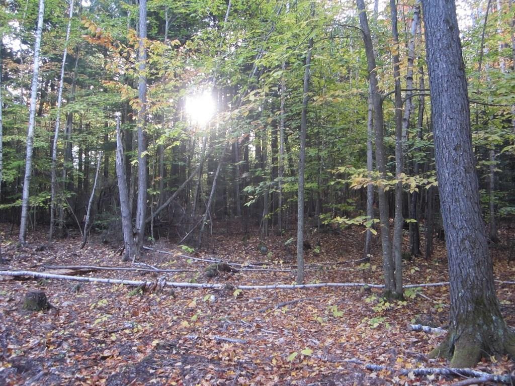 24 Pine Tree Road Litchfield, ME 04350 - Photo 29 of 35 Photo