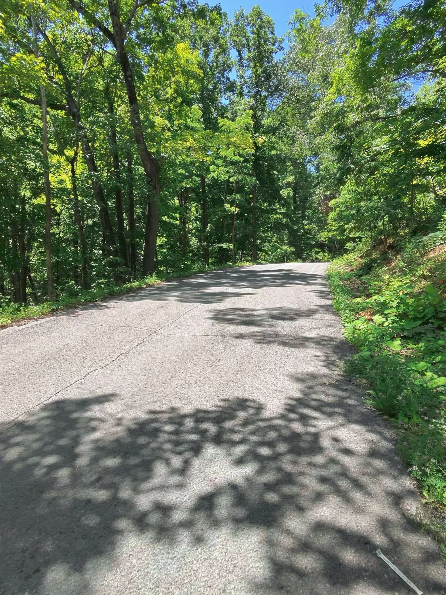 Tbd Osborne Mountain Road Raven, VA 24639 - Photo 19 of 27 Gallery Image 19