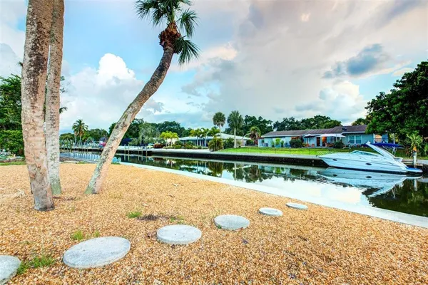 a view of a swimming pool with a patio and plants