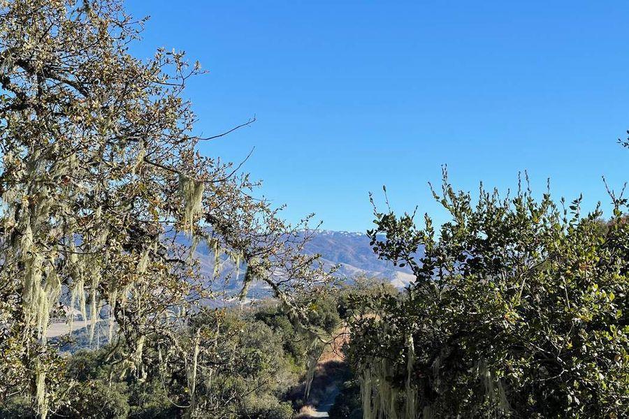 17114 Cachagua Road Carmel Valley, CA 93924 - Photo 17 of 32