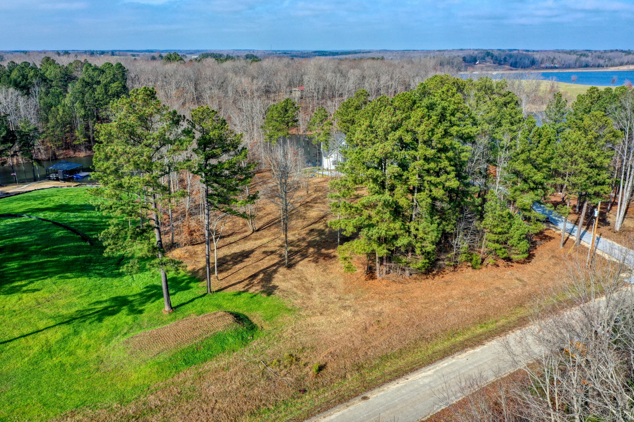 0 Reedy Creek Road Huntingdon, TN 38344 - Photo 13 of 16 an aerial view of a yard with plants
