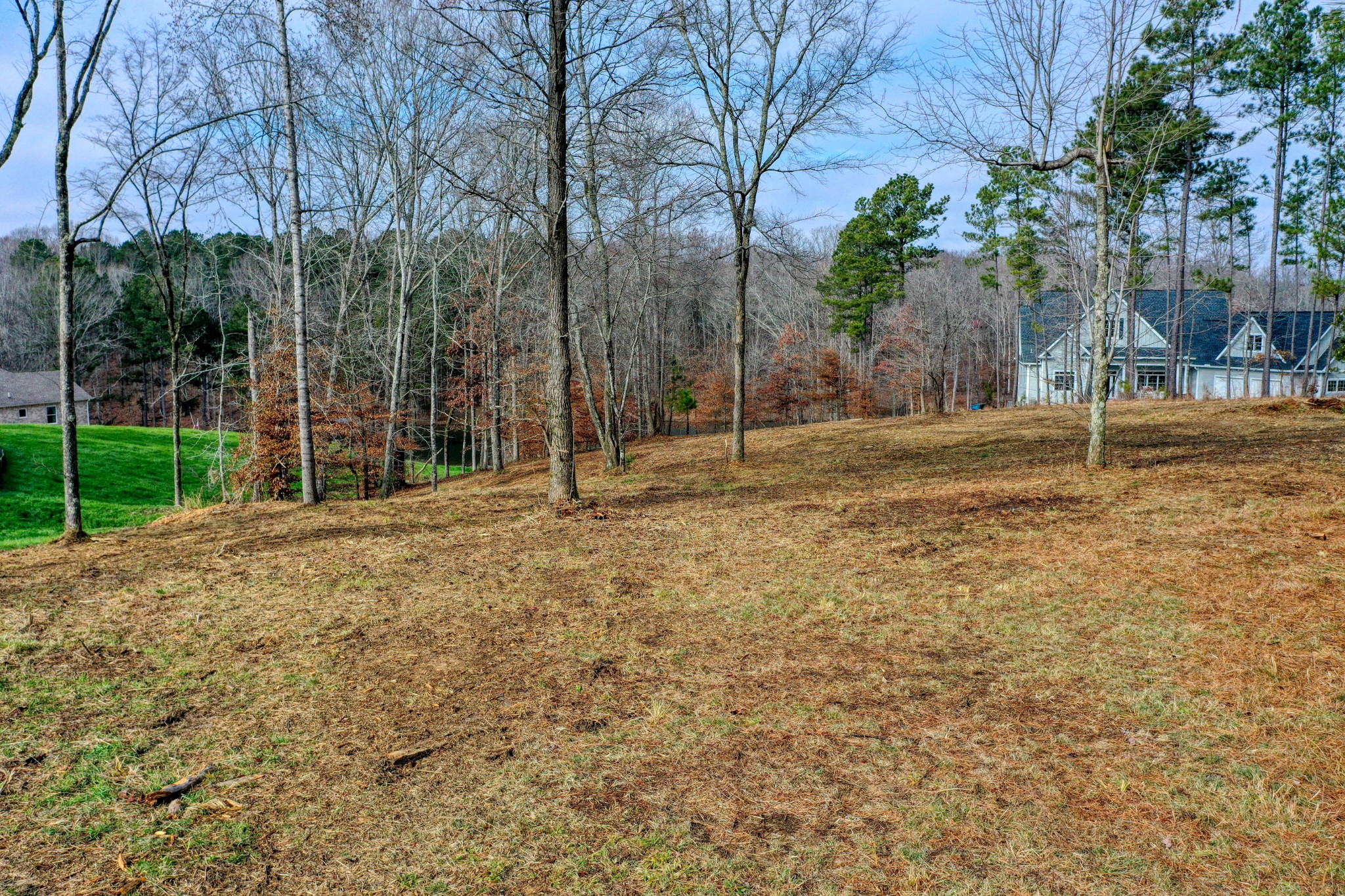 0 Reedy Creek Road Huntingdon, TN 38344 - Photo 3 of 16 a backyard of apartments with large trees