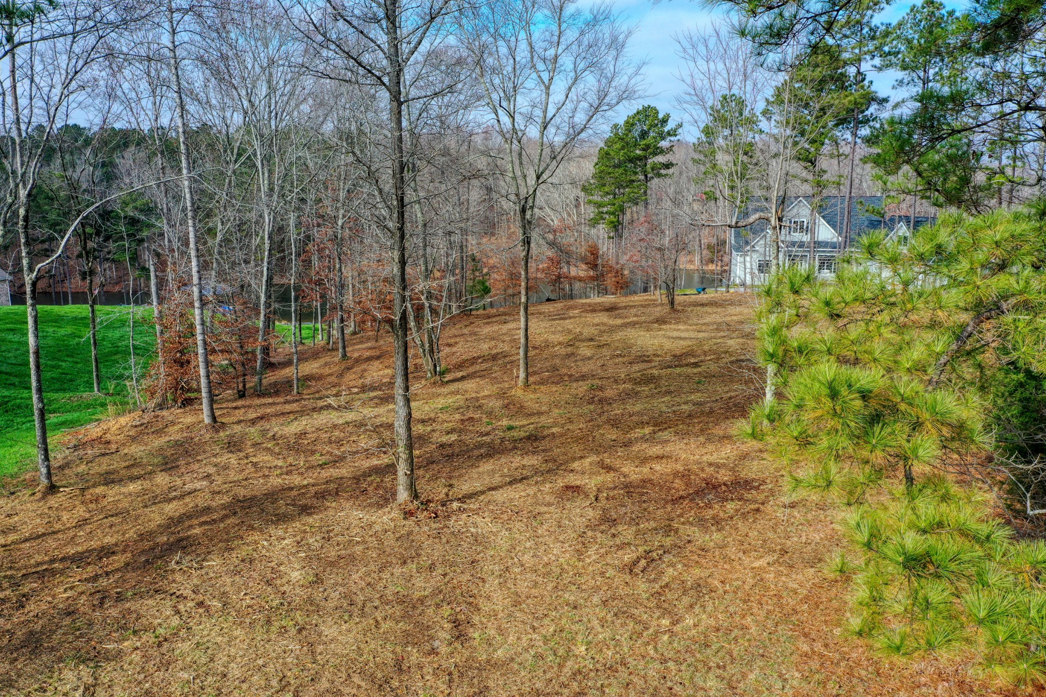 0 Reedy Creek Road Huntingdon, TN 38344 - Photo 4 of 16 a backyard of a house with lots of green space