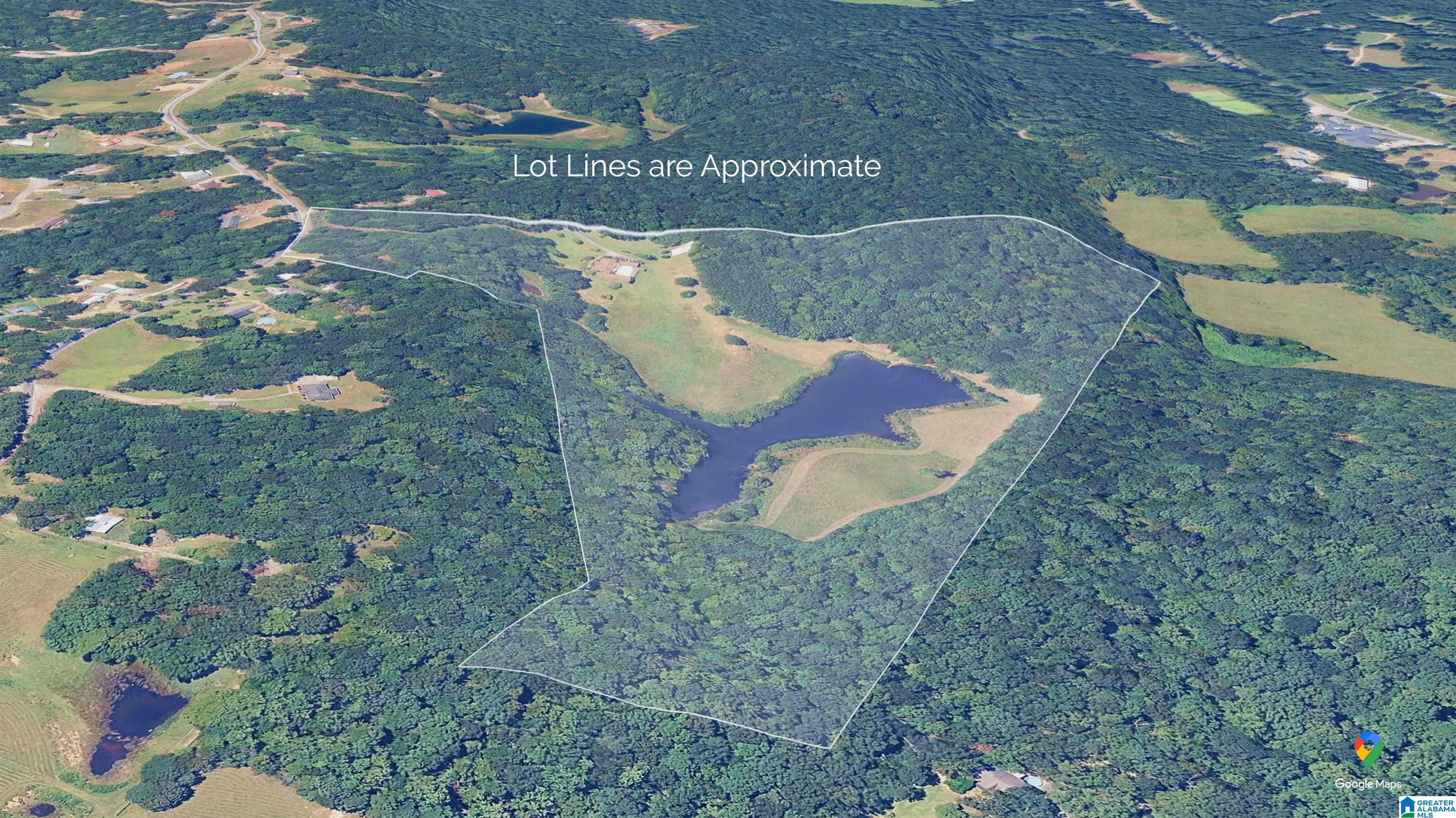 320 Wolf Pen Ridge Road Pell City, AL 35128 - Photo 100 of 100