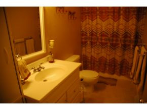 592 Hales Chapel Road Gray, TN 37615 - Photo 19 of 24 Bathroom 2