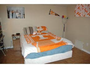 592 Hales Chapel Road Gray, TN 37615 - Photo 21 of 24 Bedroom 4