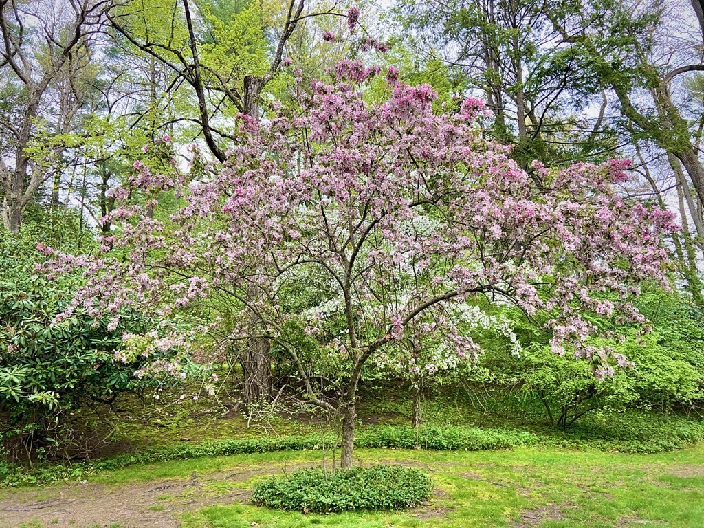 111 Woodsley Road Longmeadow, MA 01106 - Photo 20 of 23 Gallery Image 20