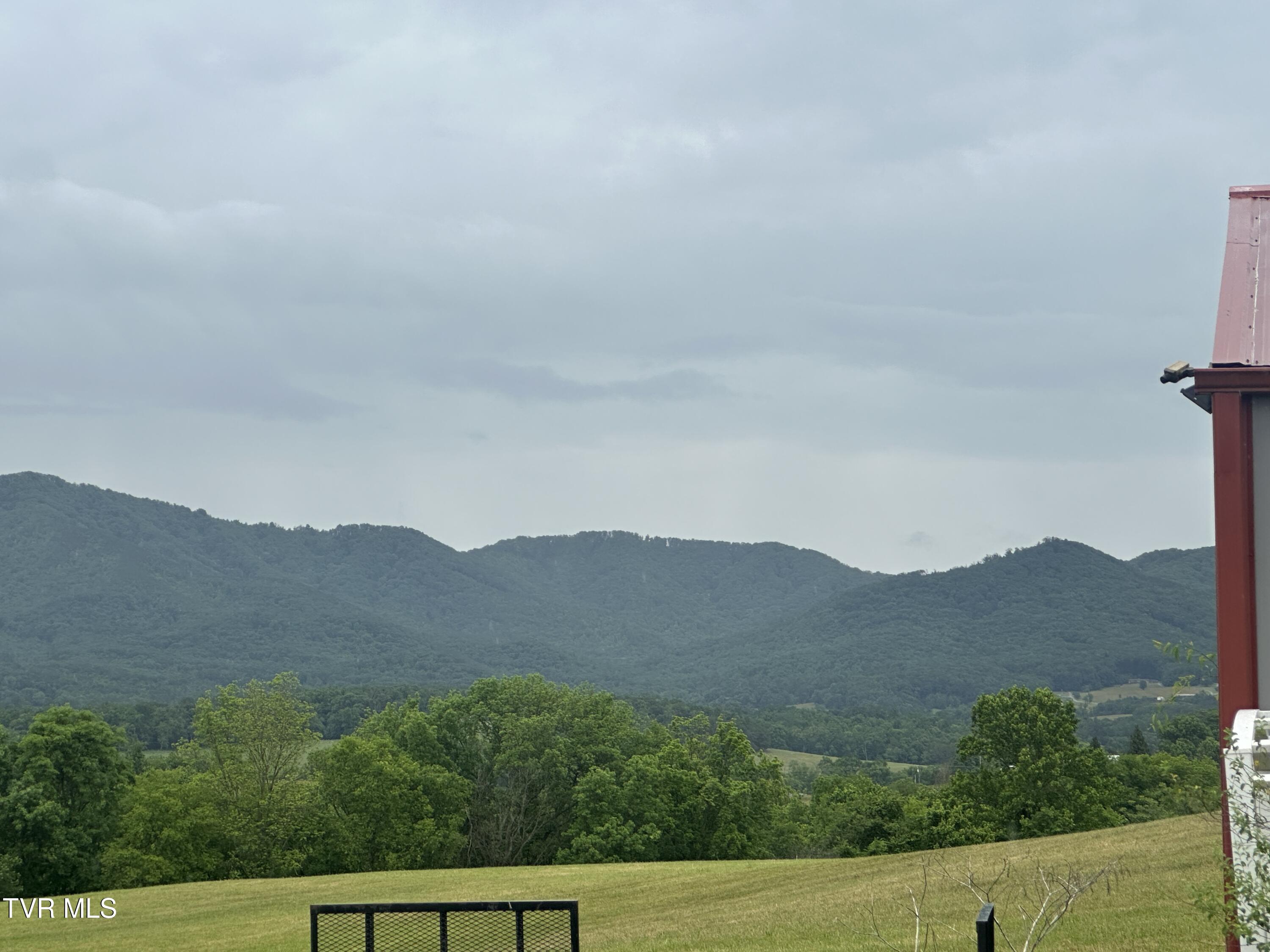 1070 Nolichuckey Road Greeneville, TN 37743 - Photo 58 of 66 IMG_4484 (1)