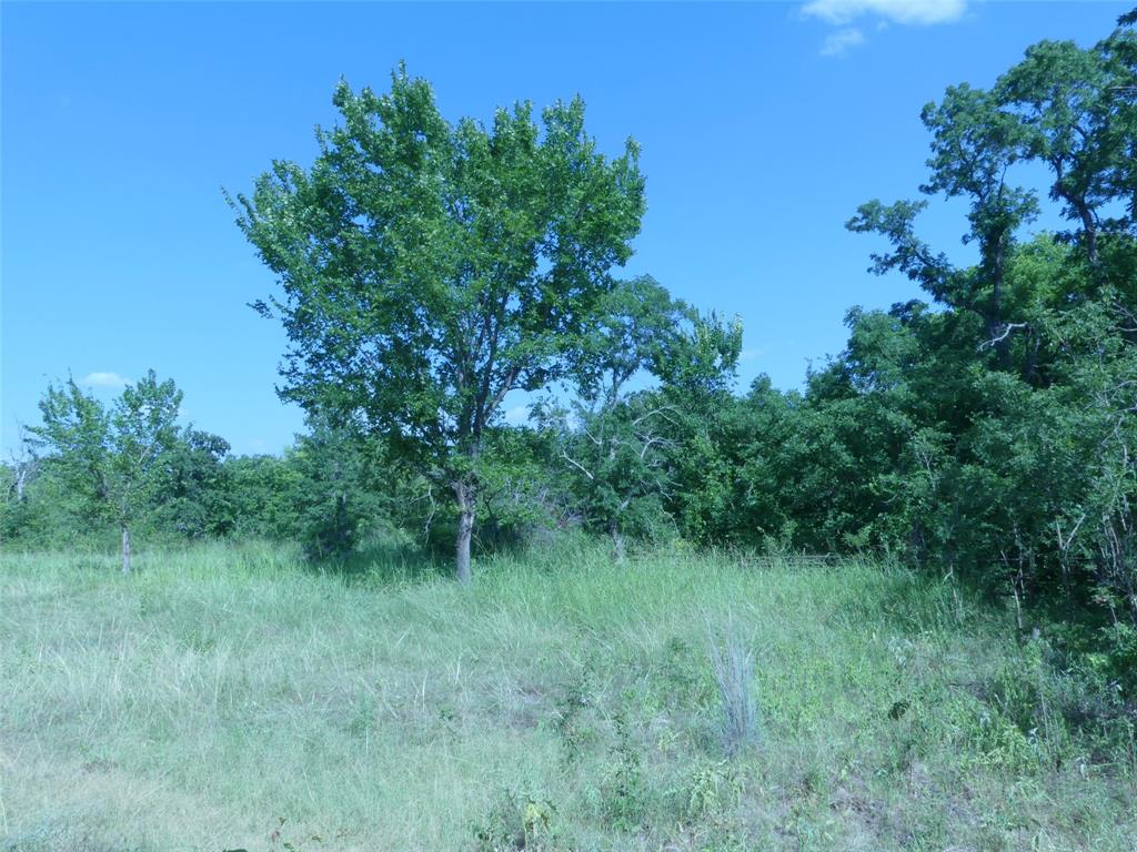 1691 West Alamo Road Bowie, TX 76230 - Photo 15 of 40 Gallery Image 15