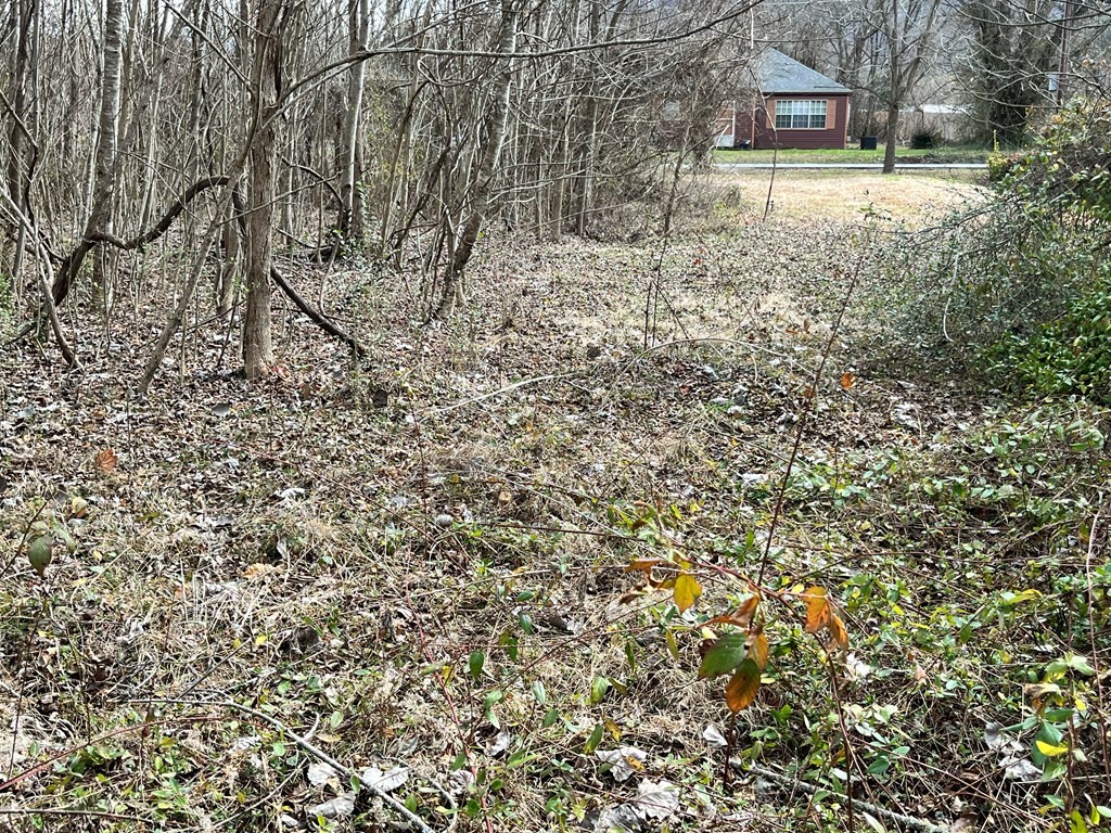 0 Shinbone Road Sevierville, TN 37876 - Photo 9 of 10