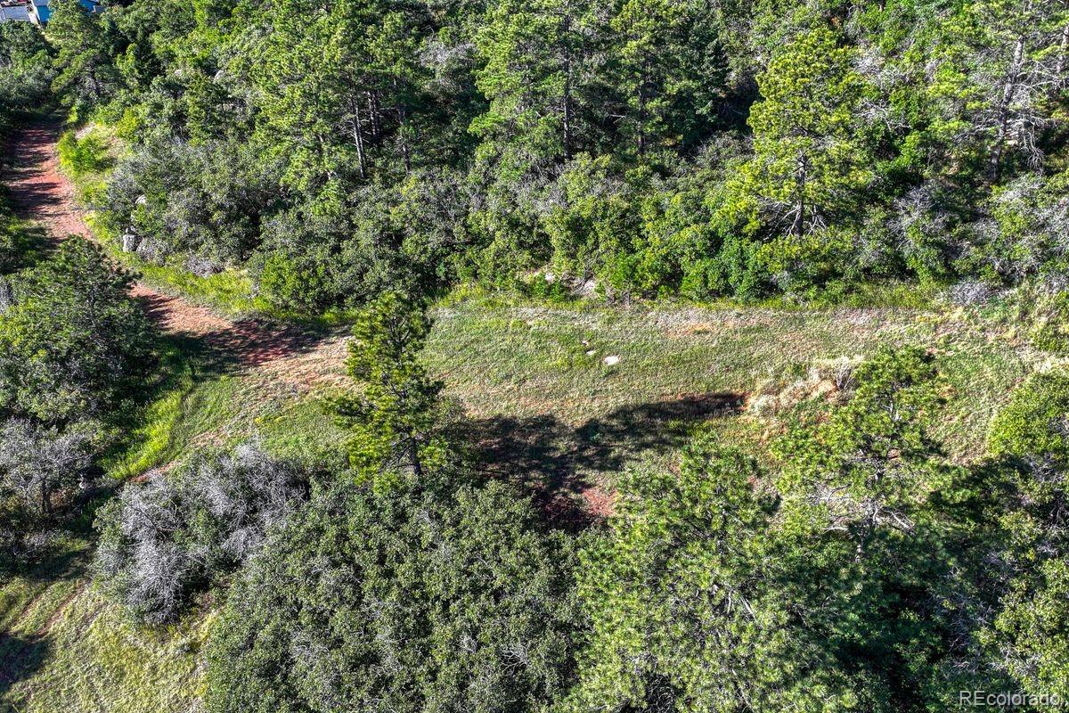 0 Columbine Road Larkspur, CO 80118 - Photo 29 of 37 Gallery Image 29