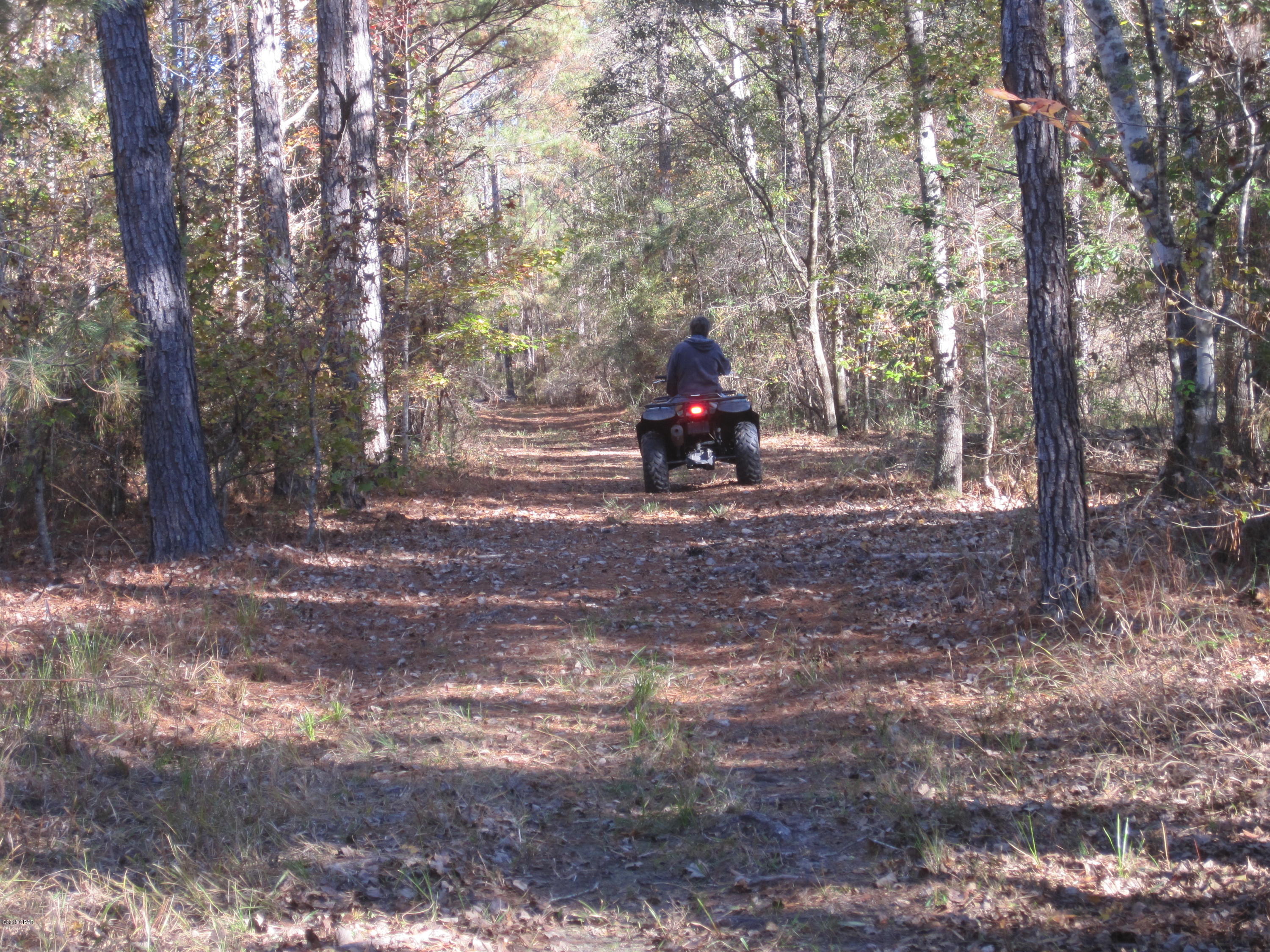 3157 Johnson Road Bonifay, FL 32425 - Photo 51 of 57 Gallery Image 51