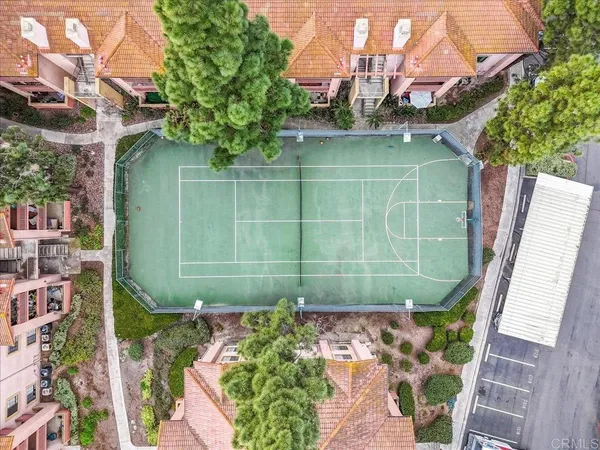 a green field covered with tall trees