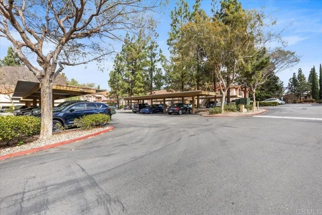 a sign of golf club on a wall under a tree