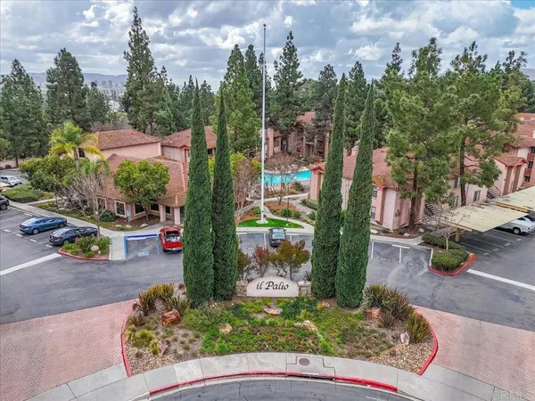 a street view with large trees
