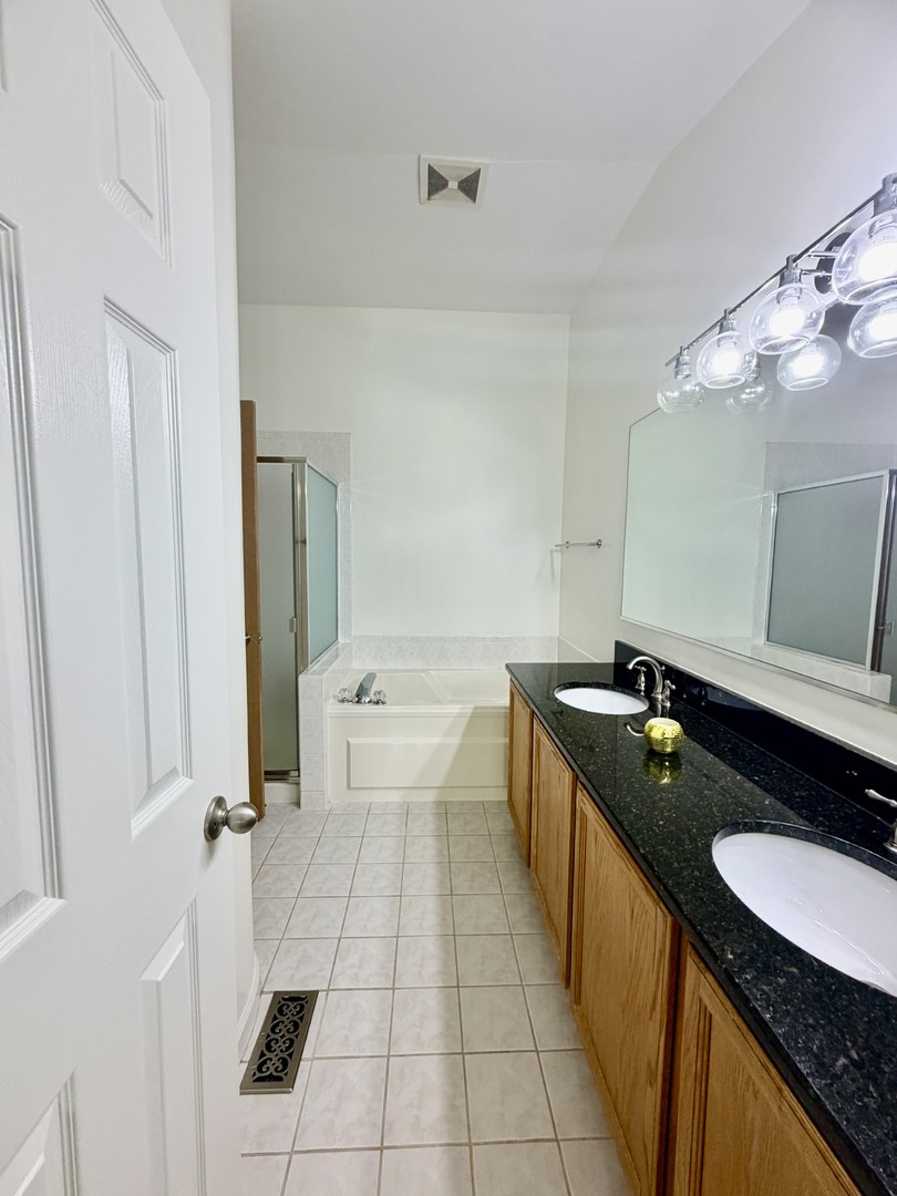 4 Haverton Court Streamwood, IL 60107 - Photo 23 of 30 a spacious bathroom with a granite countertop sink a large mirror and a bathtub