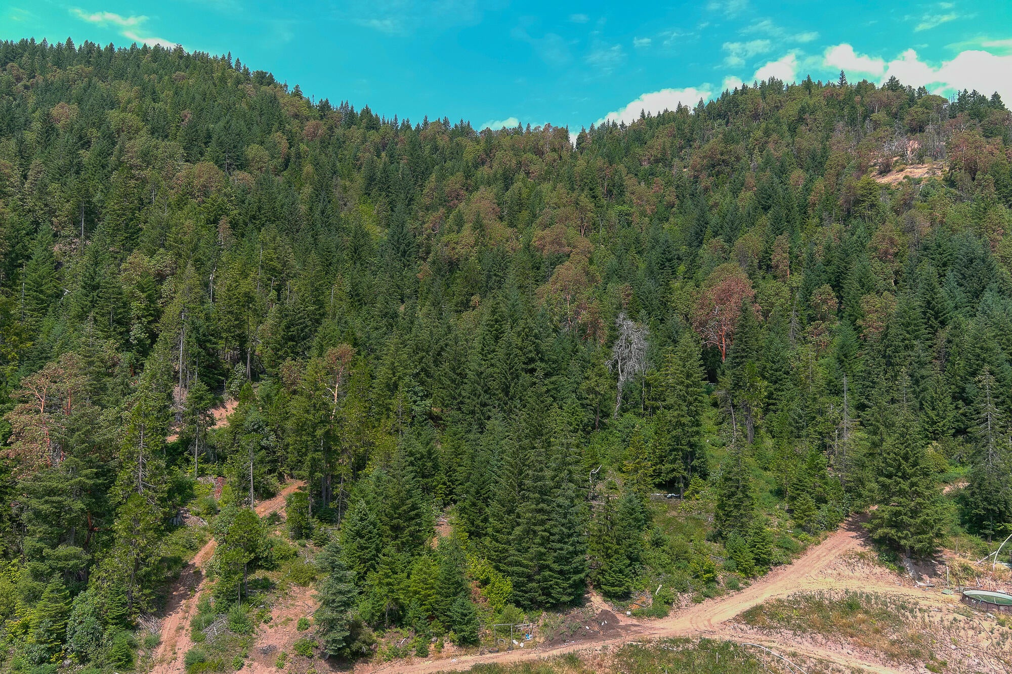 14083 Elk Creek Road Trail, OR 97541 - Photo 7 of 21 Pic 8