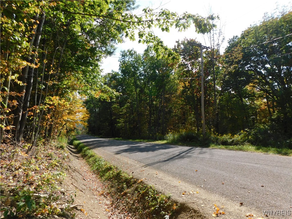 4272 Hopkins Road Cuba, NY 14727 - Photo 20 of 20