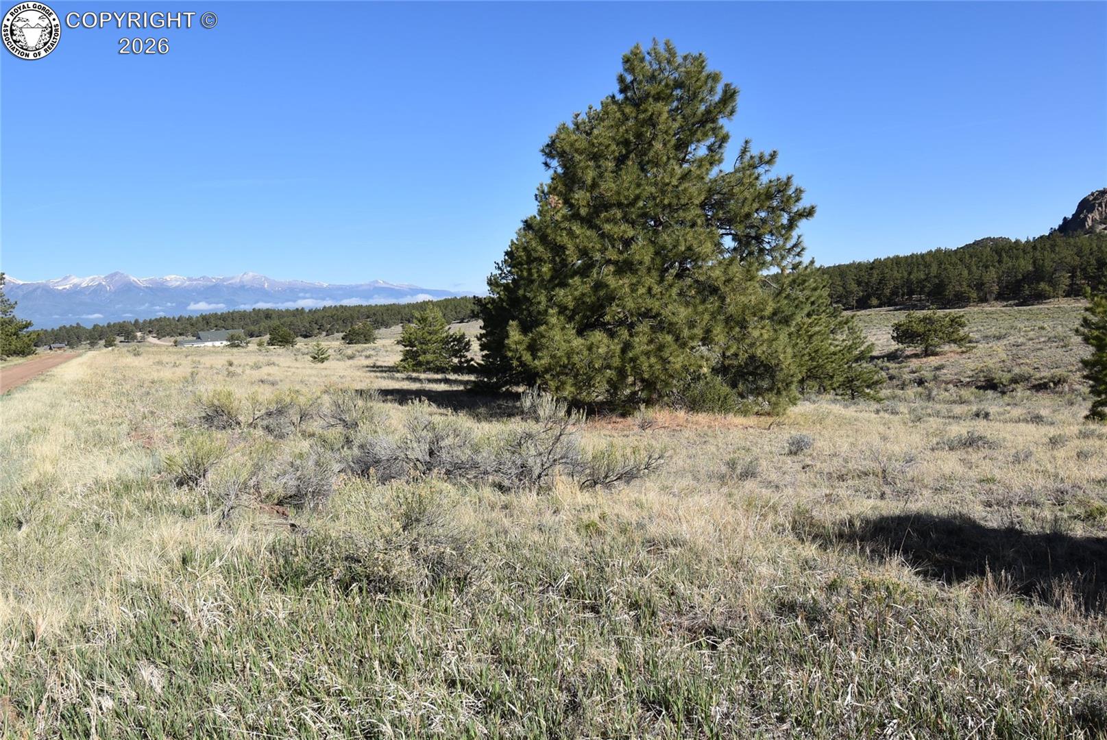 763 Apache Road Westcliffe, CO 81252 - Photo 15 of 19 Gallery Image 15
