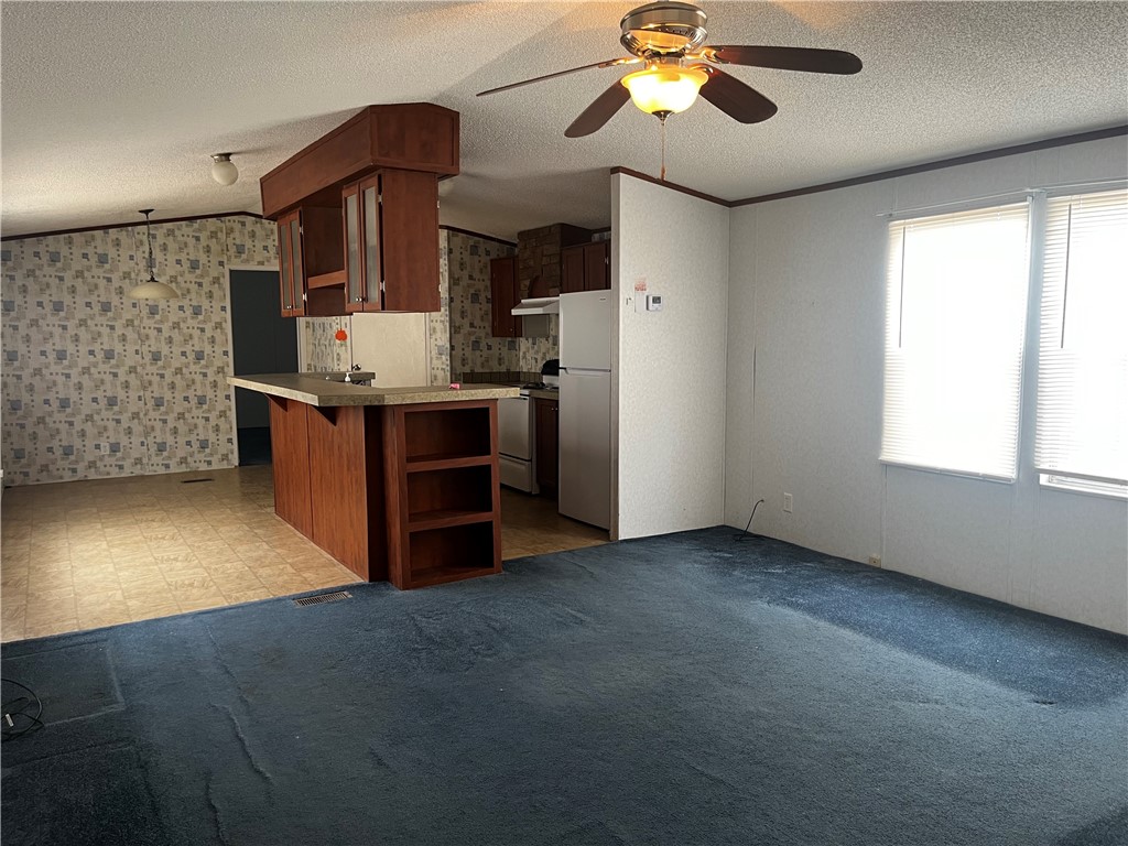 388 County Road 1341 Alice, TX 78332 - Photo 7 of 21