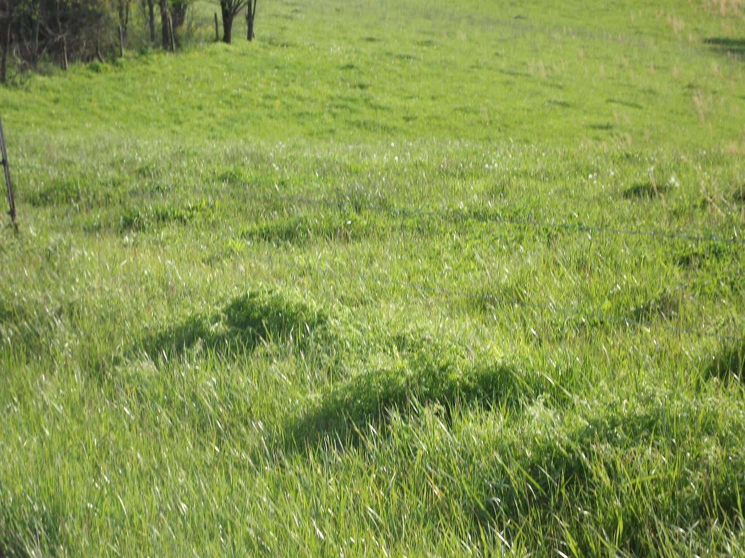 5000 Battle Road Mackville, KY 40040 - Photo 30 of 35 Photo 30