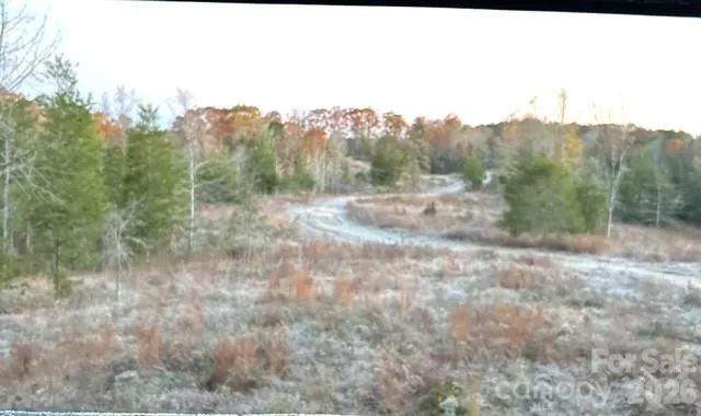 a view of a dry yard with trees