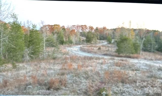 625 Skyline Drive Chester, SC 29706 - Photo 2 of 2 a view of a dry yard with trees