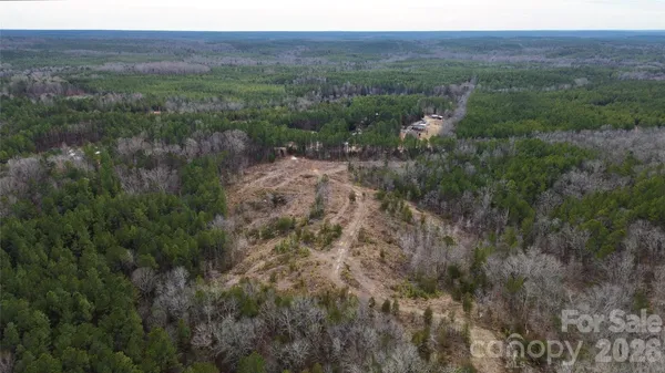 a view of a lush green forest with trees and some houses