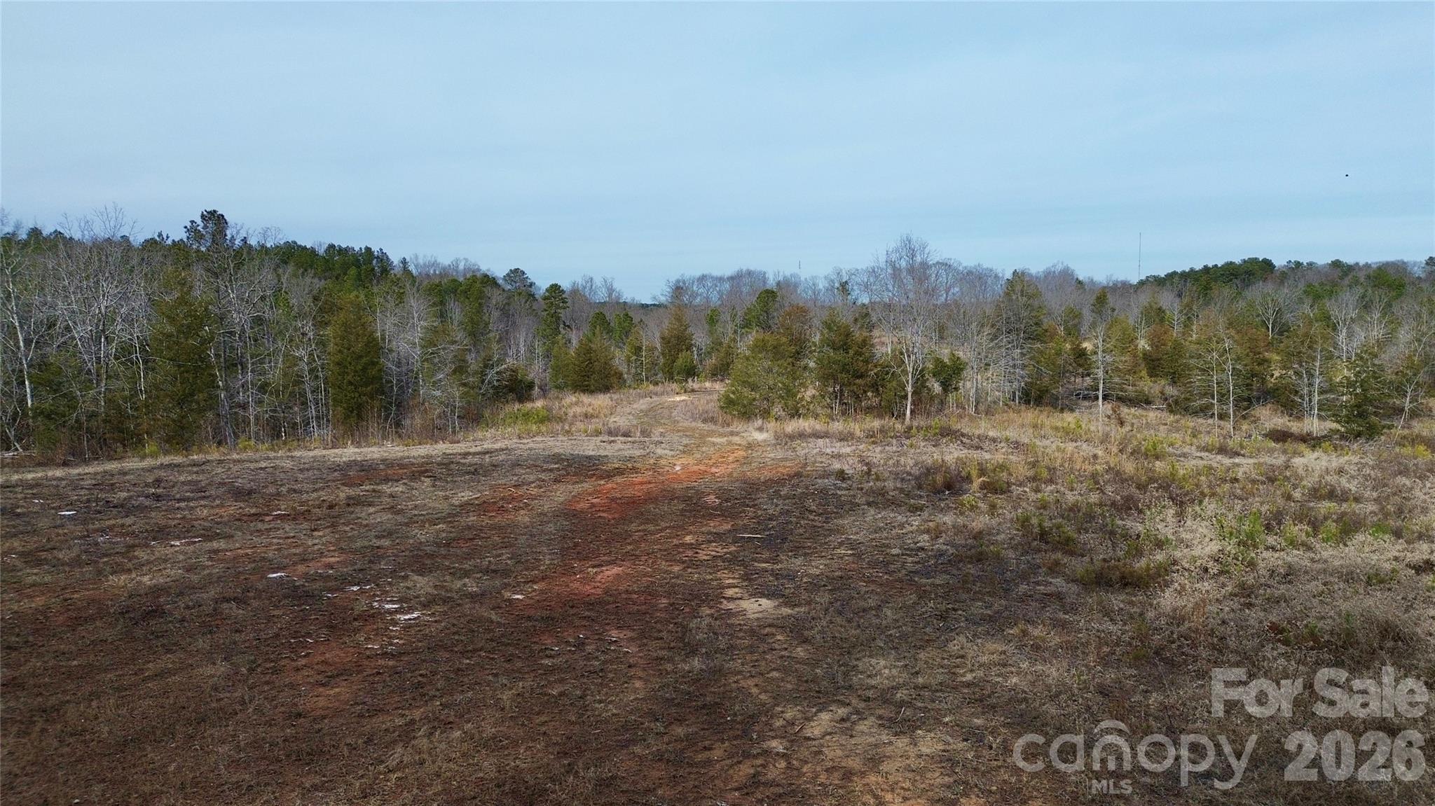 625 Skyline Drive Chester, SC 29706 - Photo 7 of 8 a view of outdoor space with mountain view