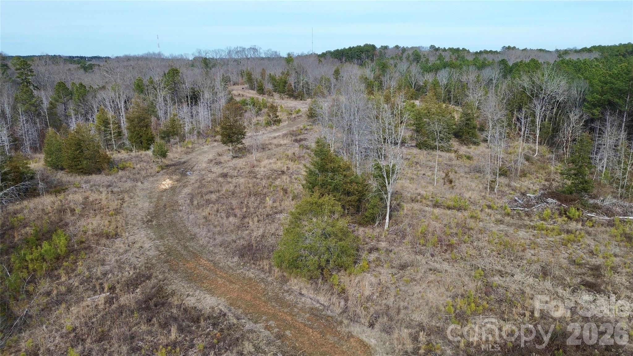 625 Skyline Drive Chester, SC 29706 - Photo 8 of 8 a view of a forest with trees in the background